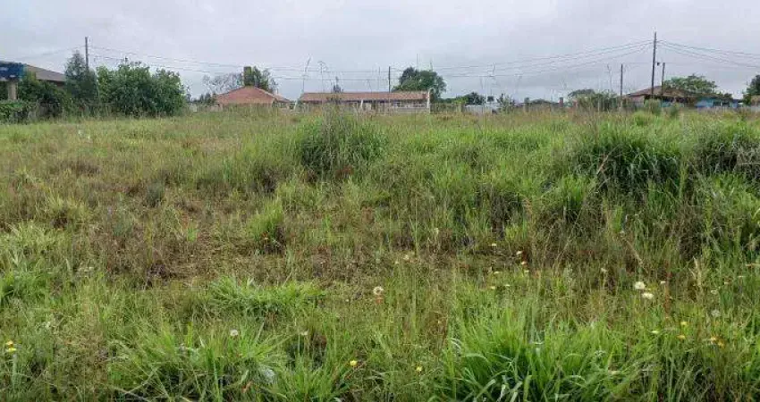 EXCELENTE CHACARA SEM BENFEITURIAS 2.000 M2 CAMPO L.DA ROSEIRA 330.000,00