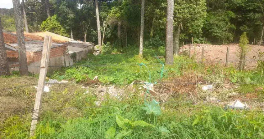 EXCELENTE LOTE COM 390 M2 SEM BENFEITURIAS SENDO 13X30 -390 M2 BAIRRO DAS NACOEIS  FAZENDA R.GRANDE 180000