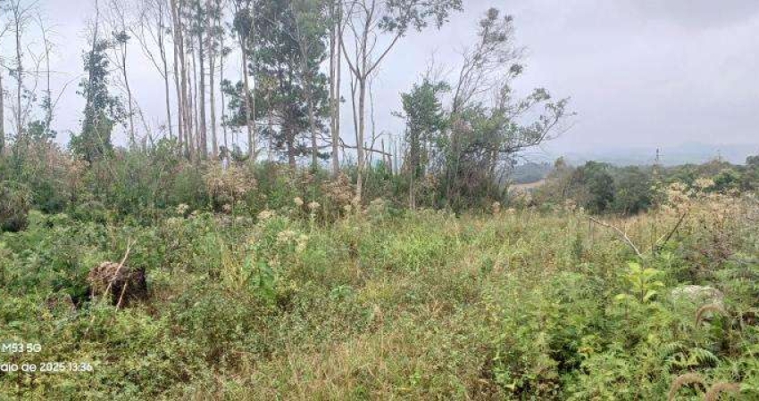 EXCELENTE CHACARA CO 26.620 M2 AGUDOS DO SUL 205.000,00