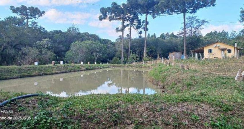 EXCELENTE CHACRA COM 4.800 COM CASA CIDADE CONTENDA 380.000