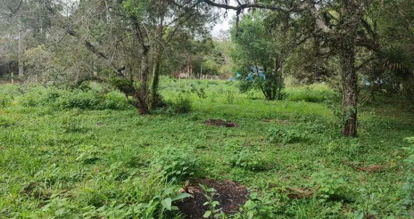 Excelente chacara com 12.000 m2 sem benfeituria bairro nhoaiva s.j.dos pinhais