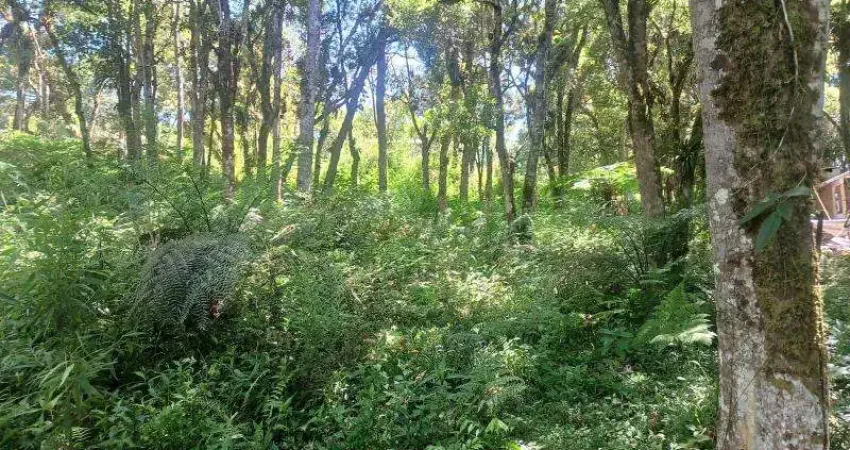 Chácara / sítio à venda na RUA SERVIDÃO, Zona Rural, Tijucas do Sul