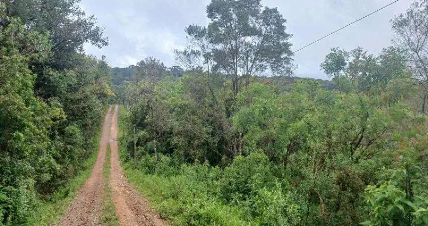 Excelente chacara com 2.100 sem benfeiturias c. alto tijucas do sul 70.000