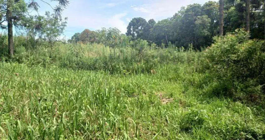 Excelente chacara com 6.000 m2 sem benfeiturias campestre tijucas 230.000