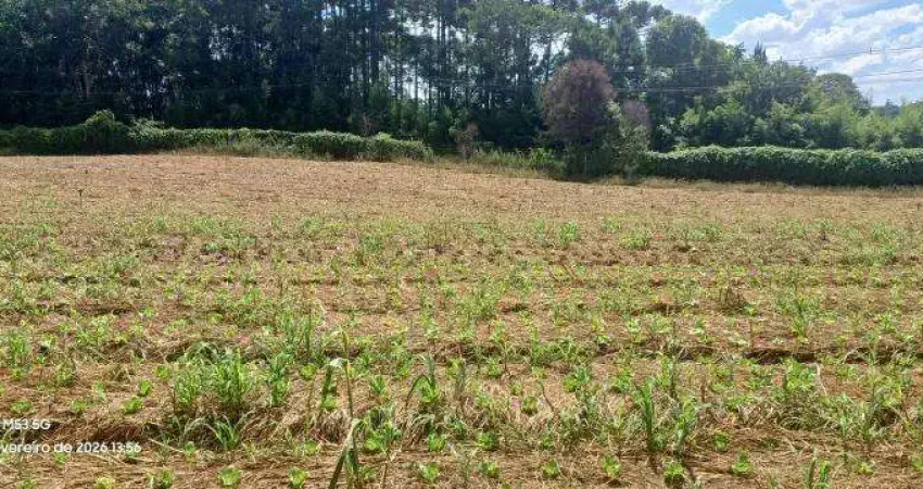 Chácara / sítio à venda na RUA EMILIO PISAIA, 1, Campina do Taquaral, São José dos Pinhais