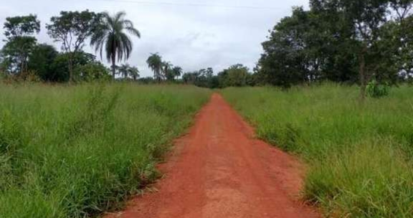 Fazenda de 60,27 hectares à venda na Região Fazenda Bandeira, em Abaeté - MG.