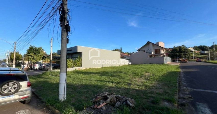Terreno comercial para alugar na Brasilia, 851, Centro, Portão