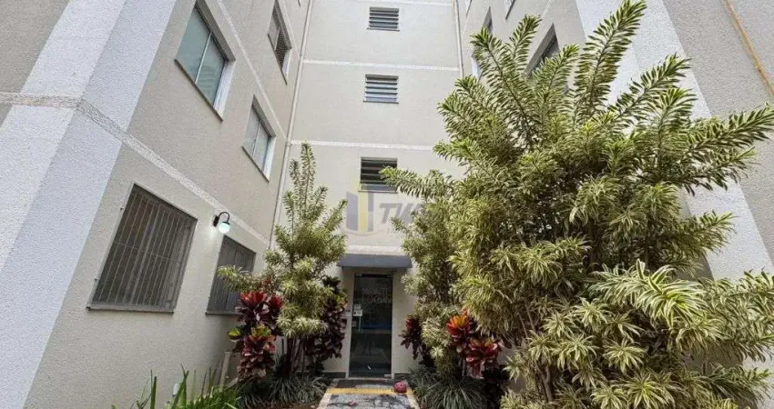 Apartamento com 2 quartos para alugar no Residencial Parati, São Carlos