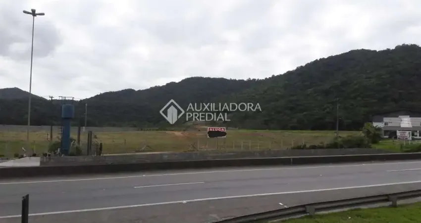 Terreno comercial para alugar na Rodovia BR-101, 126, Estados, Balneário Camboriú