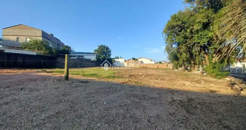 Terreno comercial para alugar na Apá, 44, Igara, Canoas
