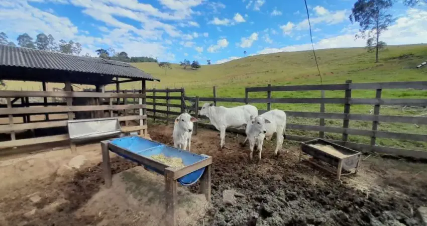 Chácara / sítio com 3 quartos à venda na PINHALZINHO SP., REF.34, Areal, Pinhalzinho