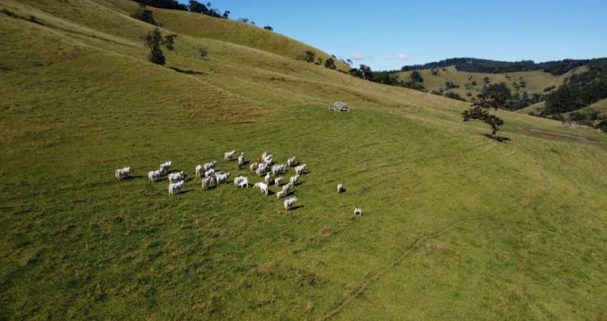 Chácara / sítio com 4 quartos à venda na ZONA  RURAL, Centro, Camanducaia