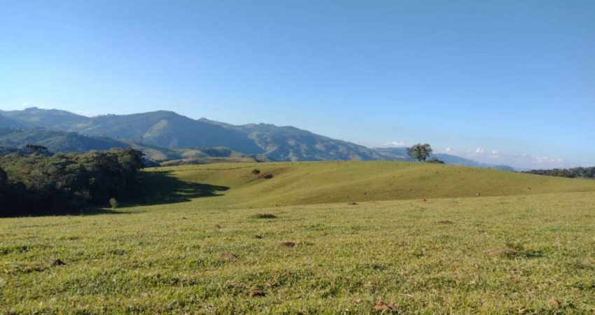Chácara / sítio com 3 quartos à venda na OURO FINO MG., 000, Zona Rural, Ouro Fino