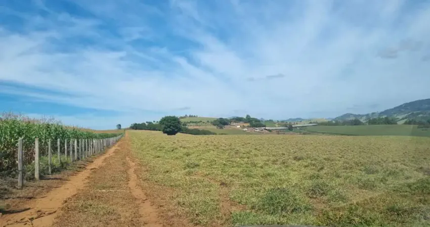 Chácara / sítio com 5 quartos à venda na Zona Rural, Santa Rita do Sapucaí 