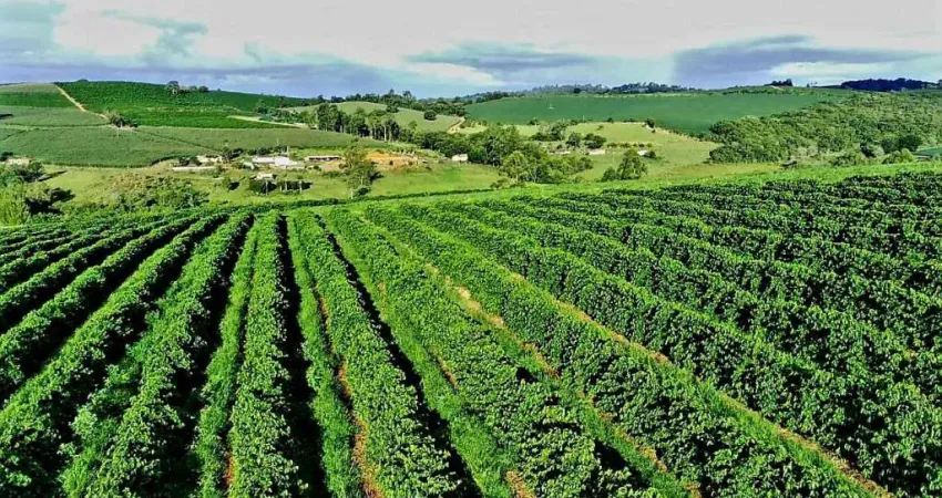 Chácara / sítio com 6 quartos à venda na Zona Rural, Campanha 