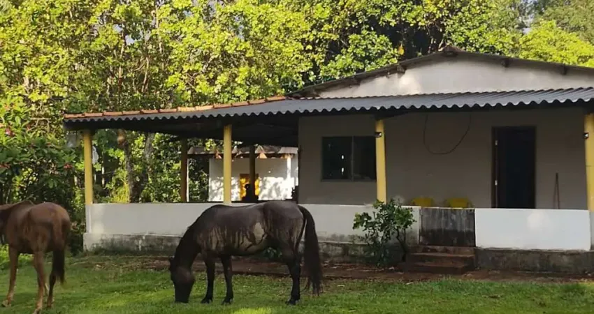 Chácara para venda em campo grande, água limpa park, 3 dormitórios, 2 banheiros, 5 vagas
