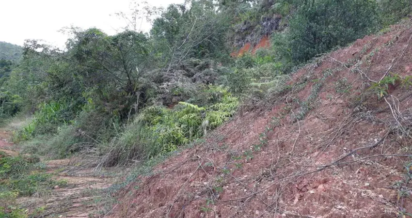 Terreno à venda no Dom Joaquim, Brusque 