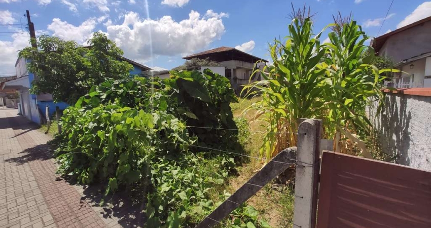 Terreno comercial para alugar no Santa Rita, Brusque 
