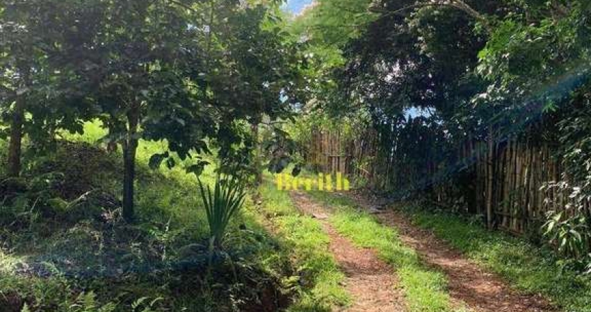 Chácara à venda, 3000 m² por R$ 250.000,00 - Taboão - Taubaté/SP