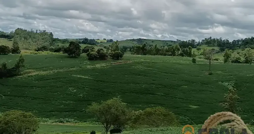 Sítio para Venda em Nova Tebas, Zona Rural