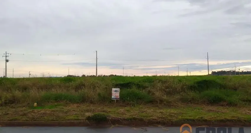 Terreno para Venda em Campo Mourão, Residencial Gran Riva