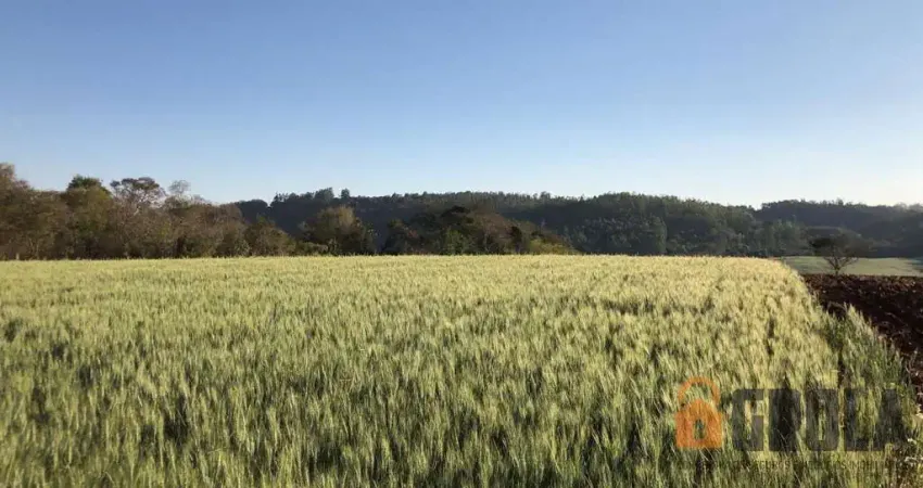 Chácara / sítio à venda na Área Rural, Área Rural de Campo Mourão, Campo Mourão