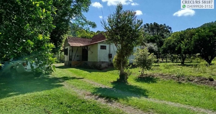 Chácara / sítio à venda na Rua Coronel Steiglich, Canto Schenkel, Nova Petrópolis