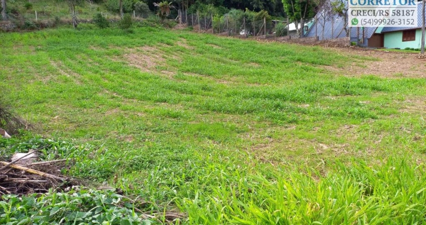 Terrenos na RS235 à venda Nova Petrópolis, Serra Gaúcha