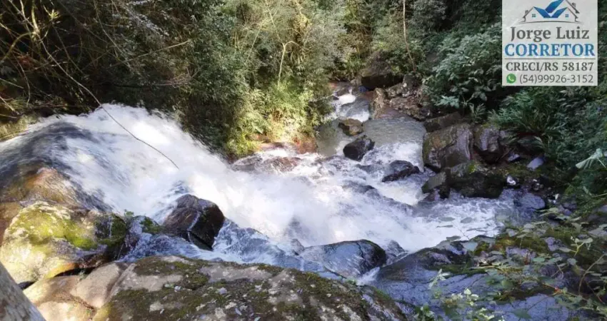 Chácara / sítio à venda na Rua Coronel Steiglich, Centro, Nova Petrópolis