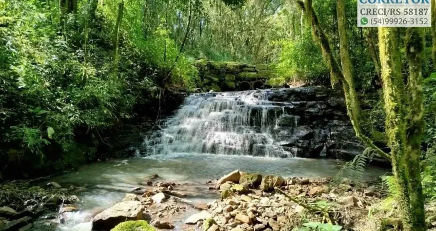 Chácara / sítio à venda na Rua Coronel Steiglich, Pinhal Alto, Nova Petrópolis