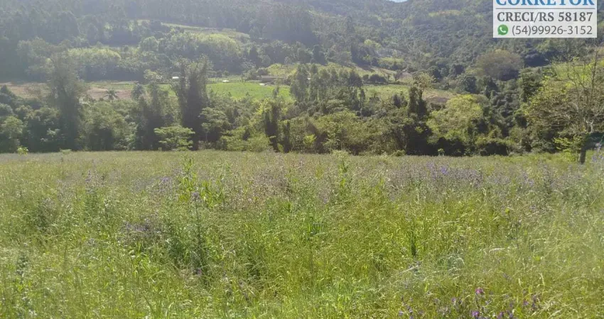Chácara / sítio à venda na Rua Coronel Steiglich, Pinhal Alto, Nova Petrópolis