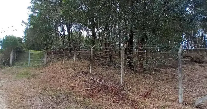 Chácara / sítio com 1 quarto à venda na Zona Rural, Campo Largo 