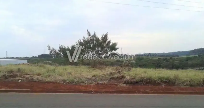 Terreno comercial à venda na Maria Olga de Carvalho Alves, 345, Betel, Paulínia