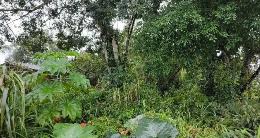 Terreno à venda no Balneário Nereidas, Guaratuba