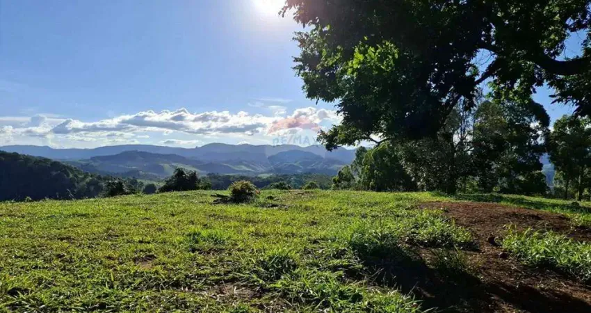 Sítio produtivo à venda – 7,5 alqueires de terra fértil com infraestrutura completa!