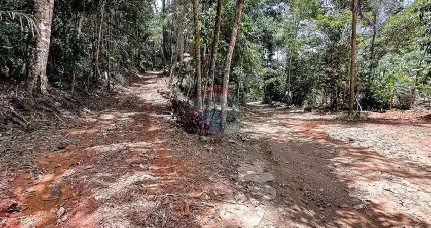 Terreno com 27.000 mts² com platô e acesso ao riacho, escriturado em Domingos Martins