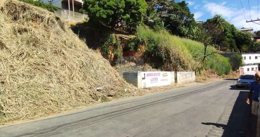 Terreno à venda na Rua Wenceslau Braz, 32, Alto Lage, Cariacica