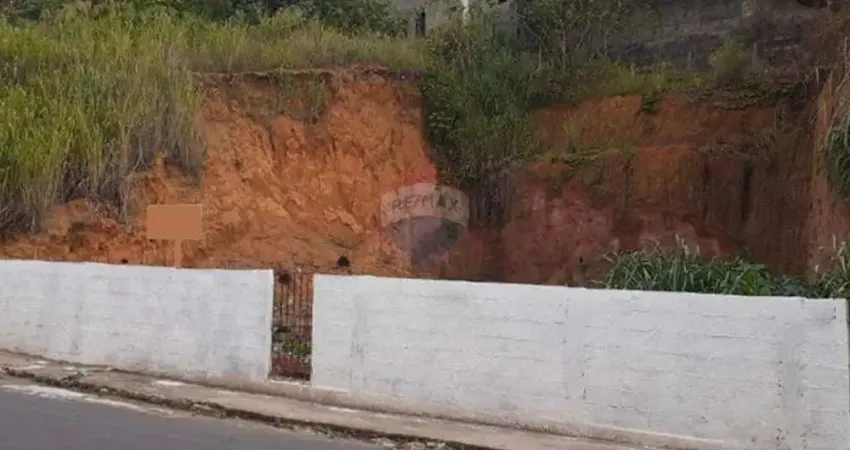 Terreno à venda na Rua Wenceslau Braz, 33, Alto Lage, Cariacica
