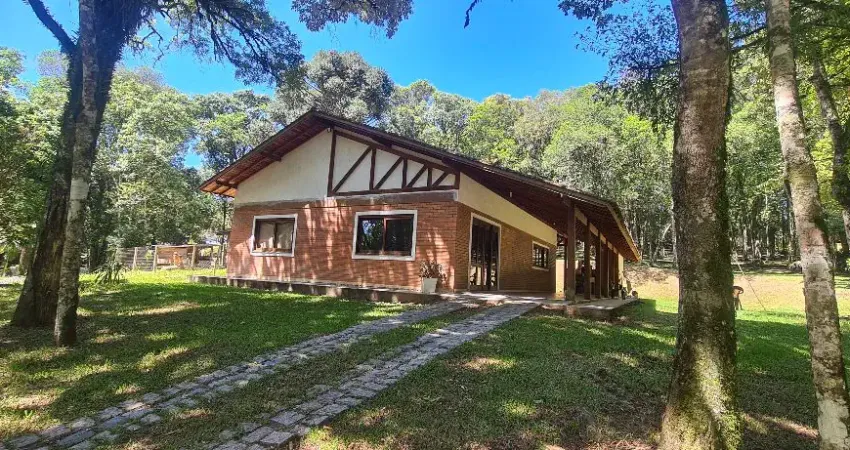 Chácara / sítio com 3 quartos à venda no Itaqui de Cima, Campo Largo 