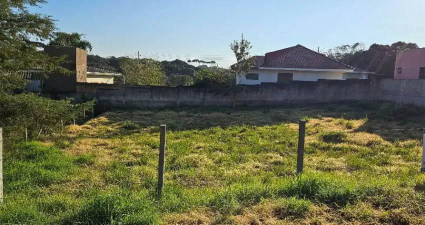 Terreno à venda na Rua Afonso Wiezbicki, 90, Jardim Emília, Campo Largo