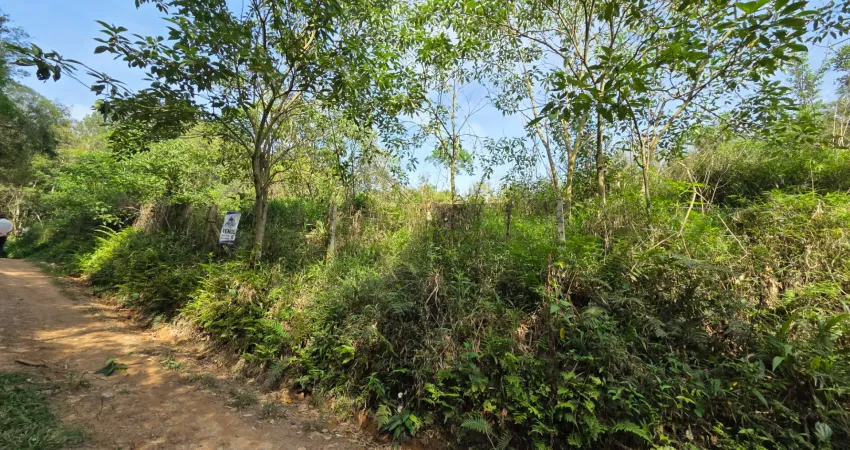 Unidade 04 disponíveis, 100% documentada matricula individual, rodeado de muita área verde, autorização do iap para corte de árvores,  terreno com frente para br. e unidades internas, energia elétrica