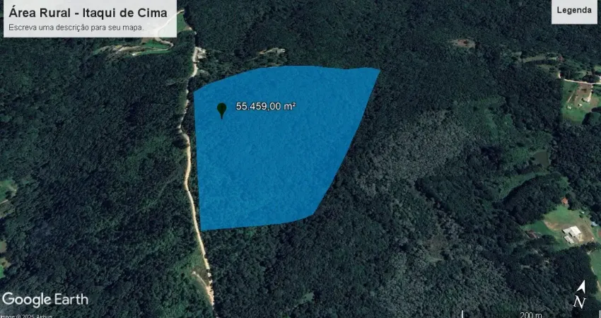 Invista na natureza com qualidade de vida e saúde, ou plantio de eucalipto