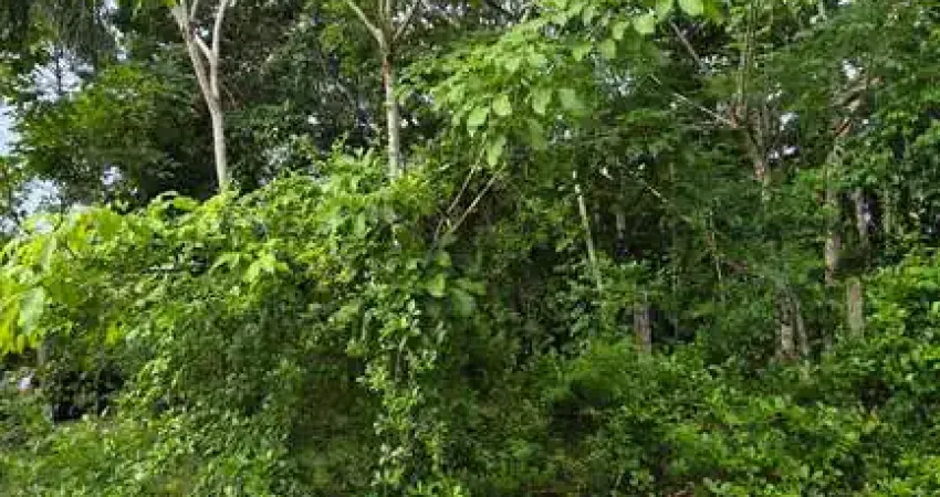 Terreno à venda na Estrada de Aldeia, Aldeia dos Camarás, Paudalho