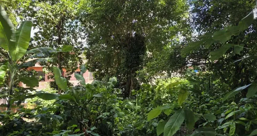 Terreno à venda no Centro, São Lourenço da Mata