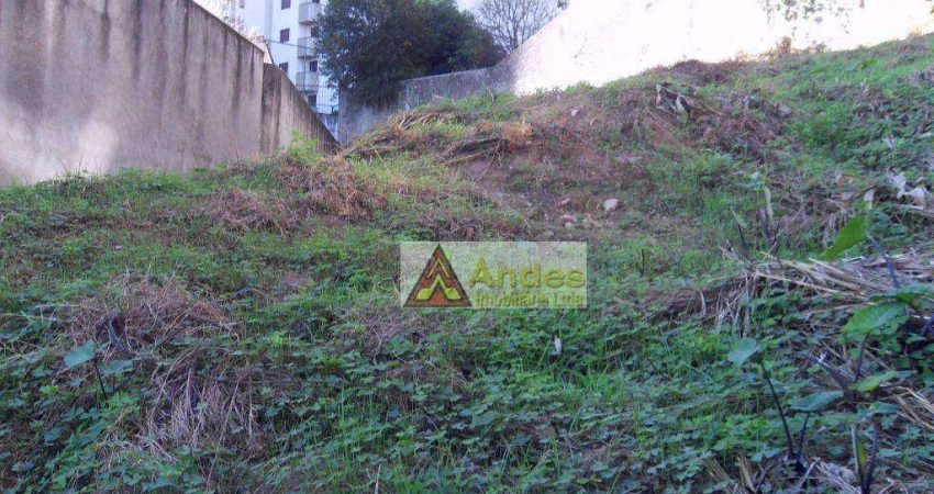 Terreno à venda na Rua Dona Luiza Tolle, Santana, São Paulo