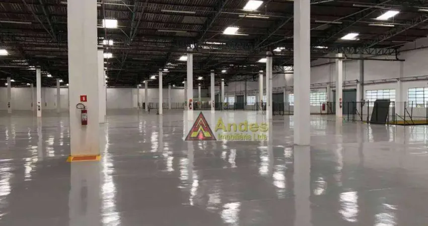 Galpão Armazenamento - V. Leopoldona - 11300m² - 7m² PD - 14 docas.