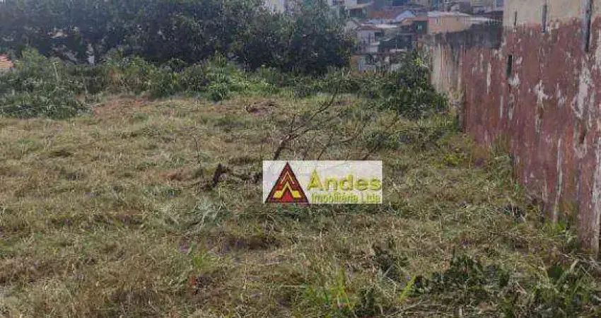 Atenção Construtoras Terreno à venda, 2334 m² por R$ 14.000.000 - Vila Guilherme - São Paulo/SP