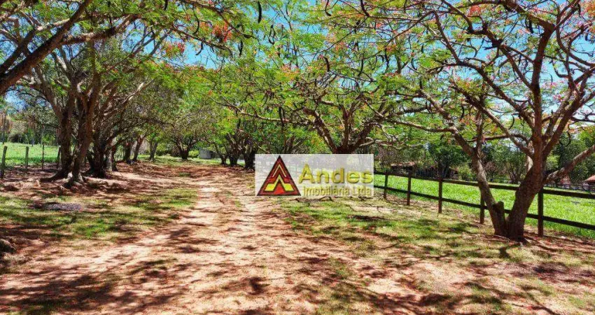 Sítio com 6 dormitórios à venda, 84600 m² por r$ 1.100.000,00 - sitio roma - boa esperança do sul/sp