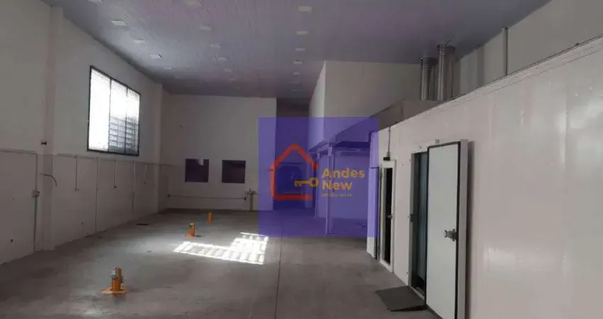 Galpão para alugar, 500 m² por r$ 15.000,00/mês - vila bandeirantes - são paulo/sp