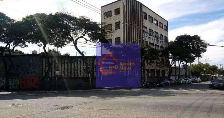 Galpão à venda, 1900 m² por r$ 36.000.000,00 - cambuci - são paulo/sp